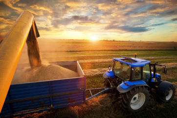 Украина планирует резко сократить посевы зерновых